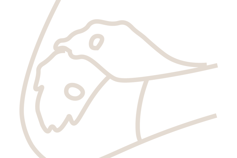 Parterapi